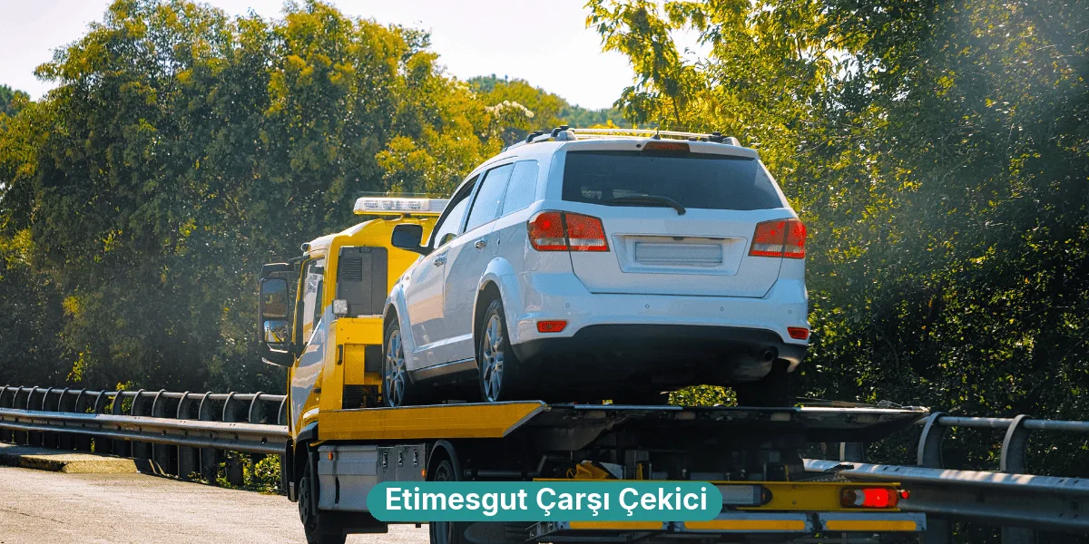 Etimesgut Çarşı Çekici