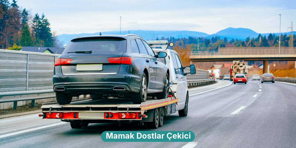 Mamak Dostlar Çekici