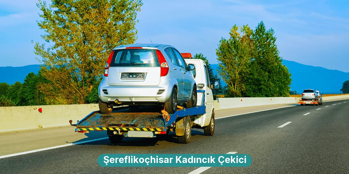 Şereflikoçhisar Kadıncık Çekici