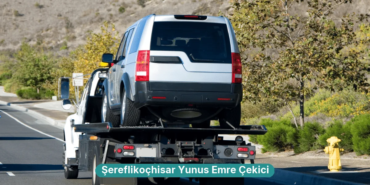 Şereflikoçhisar Yunus Emre Çekici